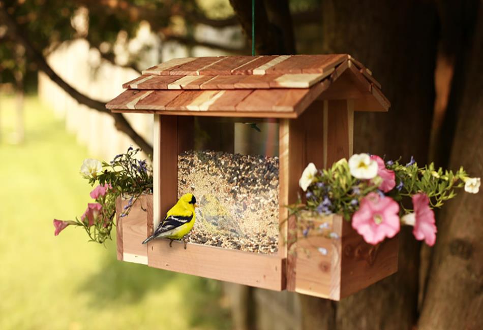 Bird Feeders