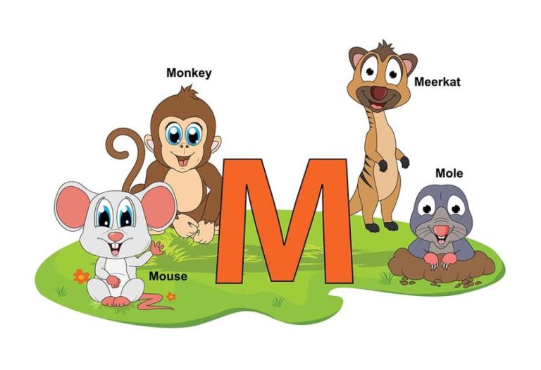 Fascinating Animals That Start with M: A Journey Through the Animal Kingdom