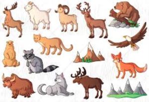  Mountain Animals