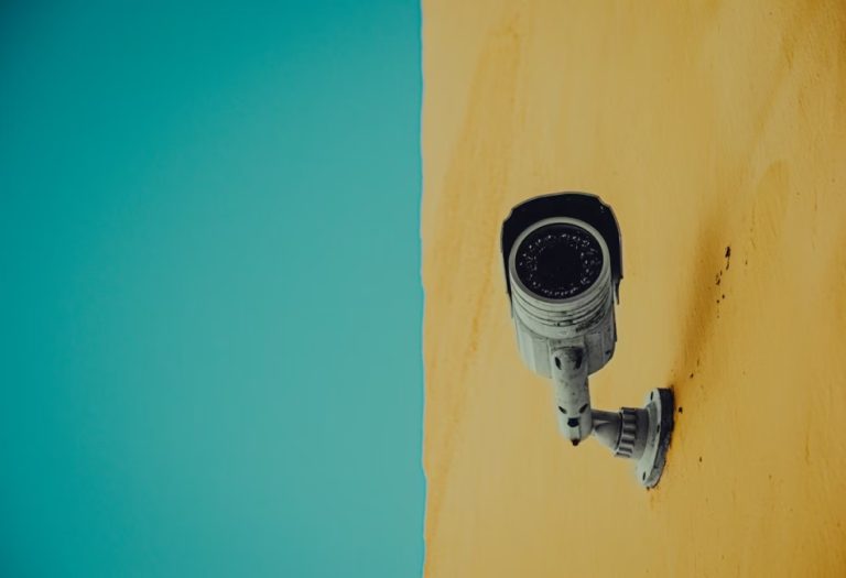 Home Security in the Age of Smart Living: What Every Nature Lover Should Know