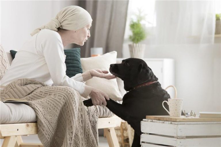 Benefits of Pets in Enhancing Elderly Care and Well-Being