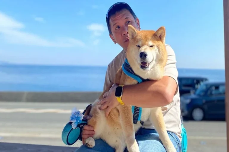 Celebrity Animal Lovers: Stars Whose Net Worth Funds Conservation Passions